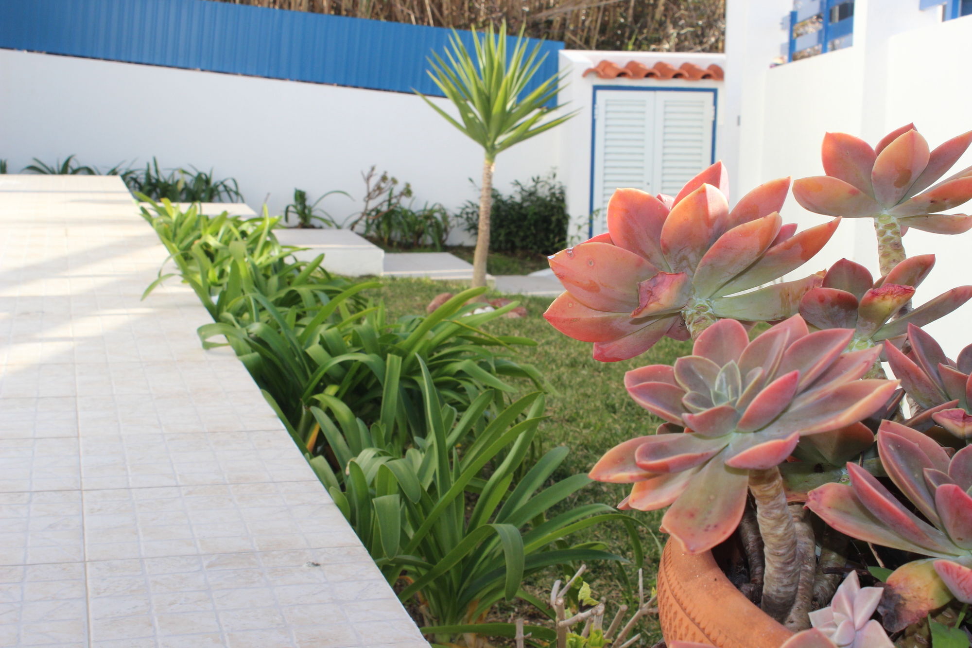 Ericeira Chill Hill Hostel & Private Rooms - Sea Food Εξωτερικό φωτογραφία